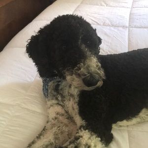 Meet your Posher, Kristin